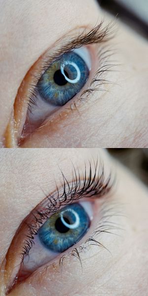5BB42616B-310B-3FE1-447C-4E40E589FAFD.jpg